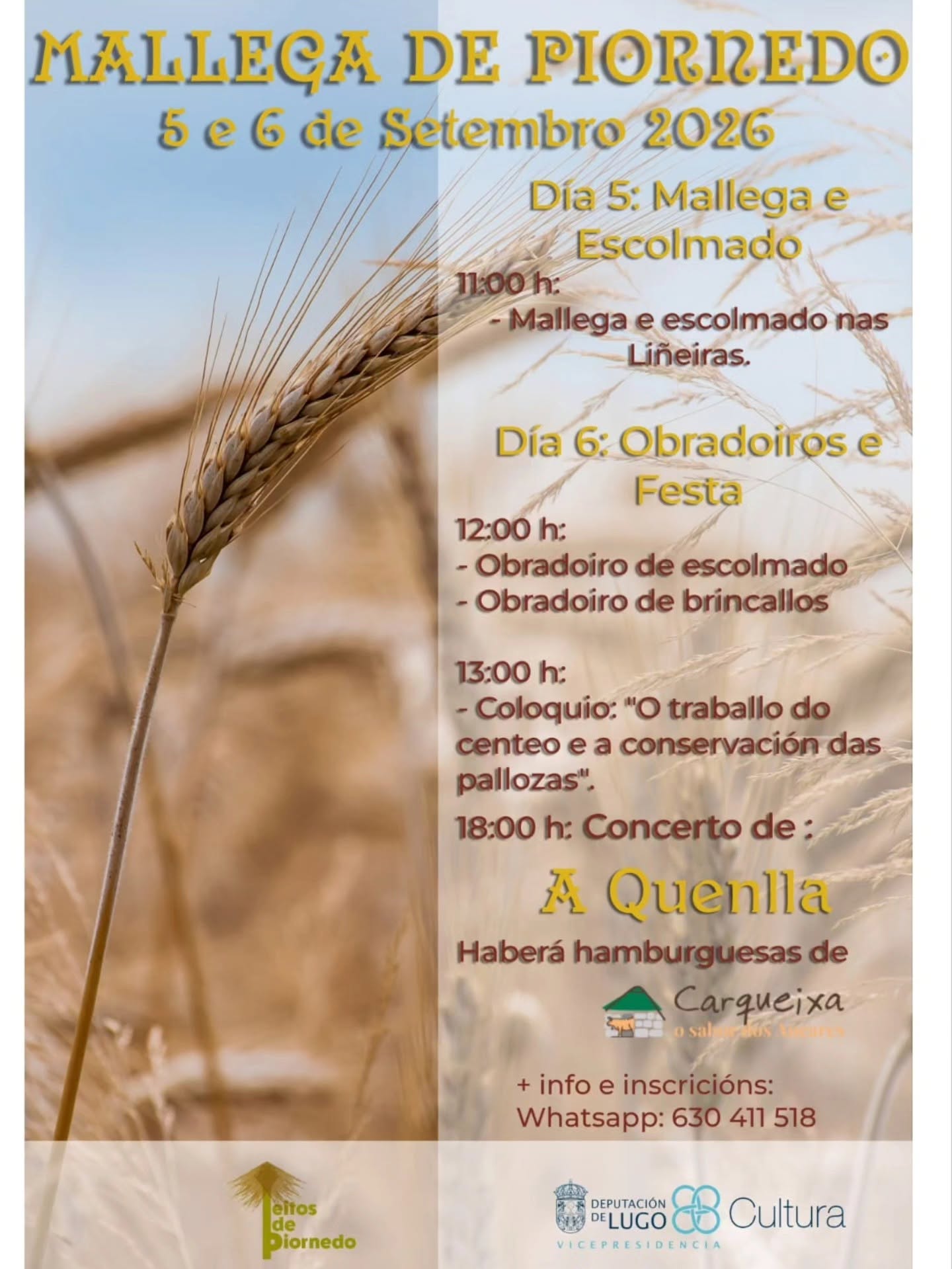 05_09_A mallega