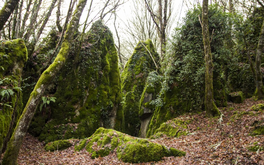 Os Ancares, Reserva da Biosfera e pulmón de Galicia
