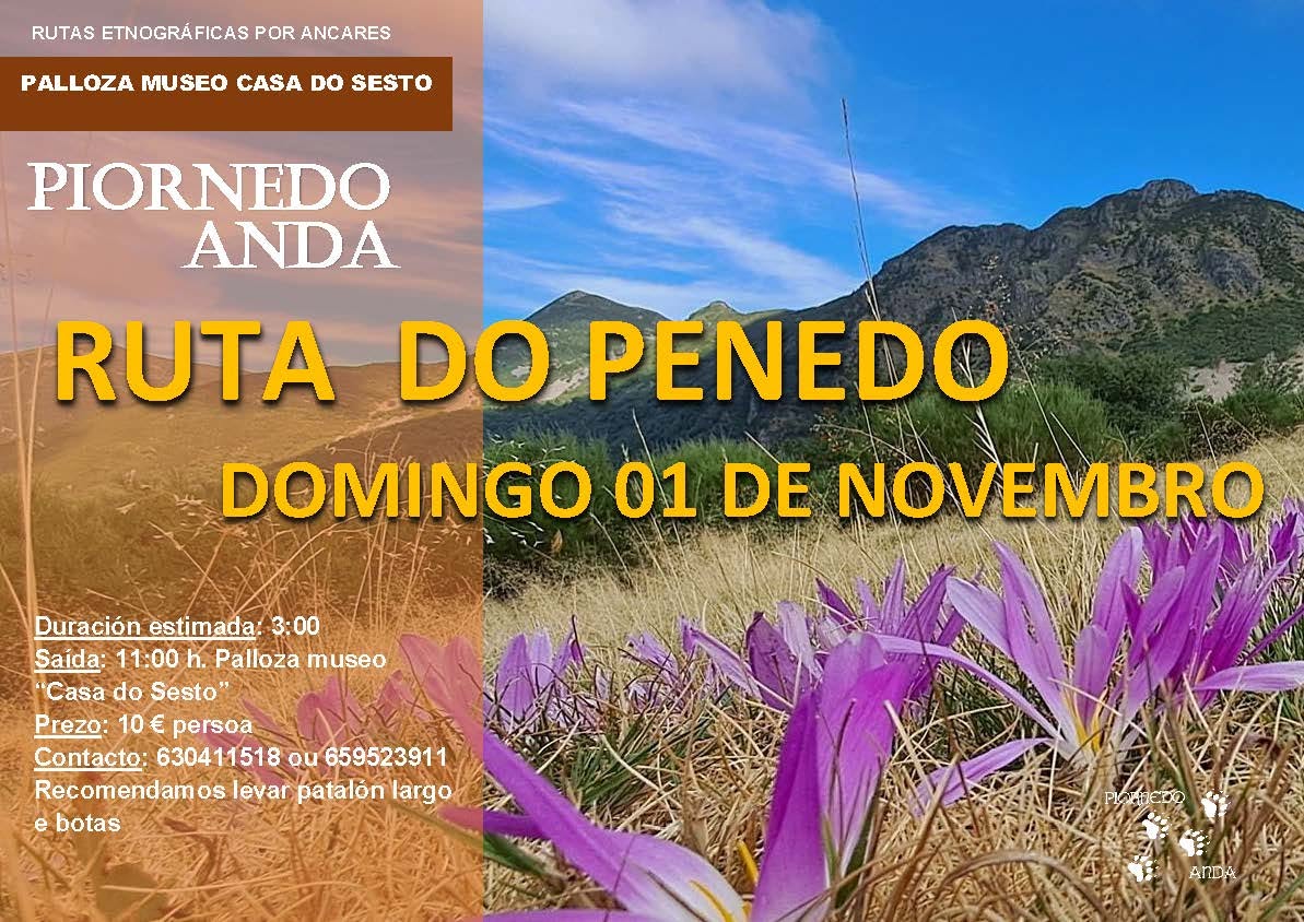 2026_11_01 Ruta Piornedo Anda