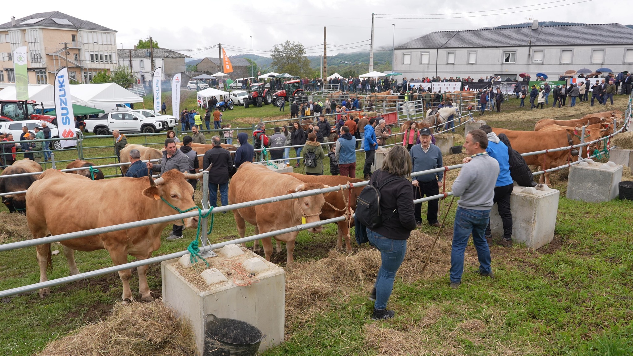 Feira en Defensa do Gandeiro da Montaña