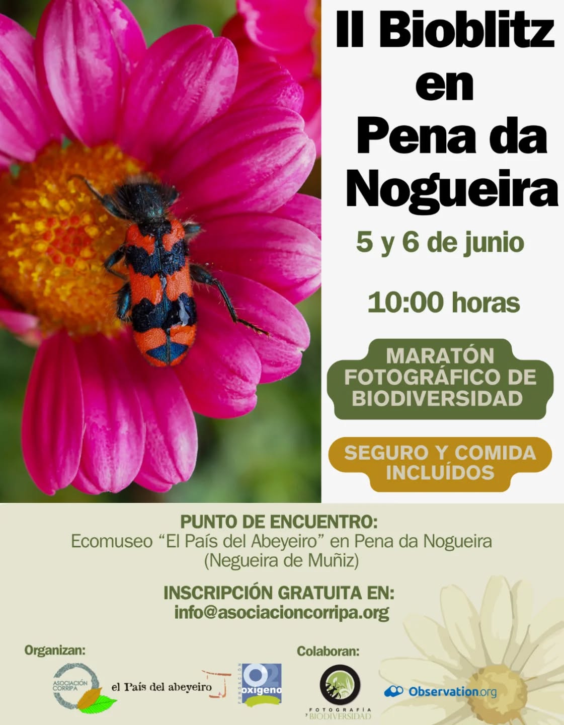 II Bioblitz
