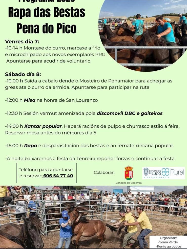 Rapa das Bestas en Pena do Pico