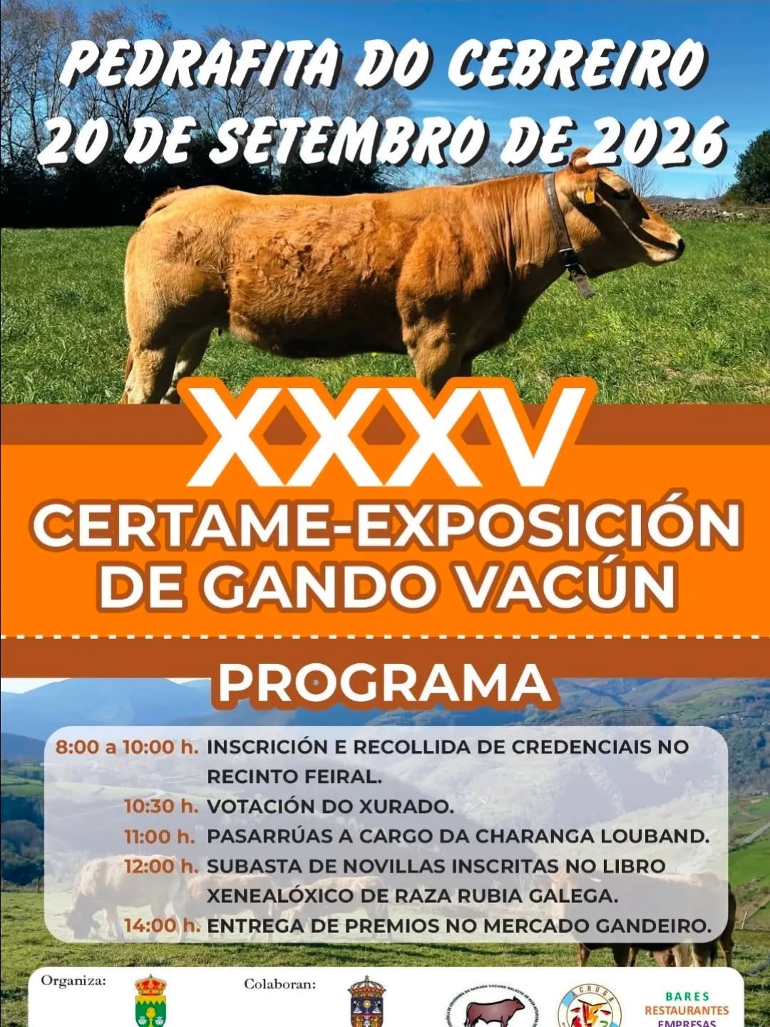 XXXV Certame de gando vacún_pedrafita
