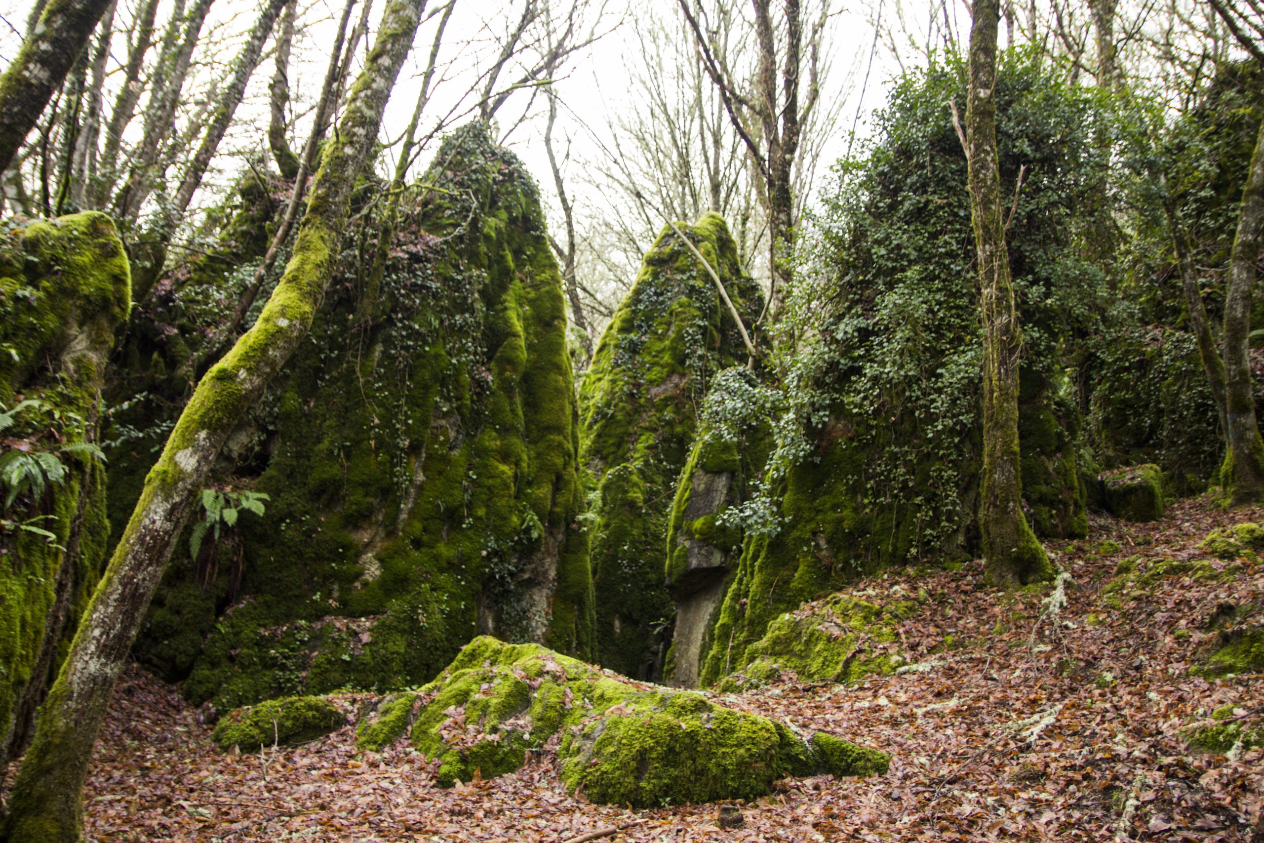 acineiral-de-cruzul_deputacion