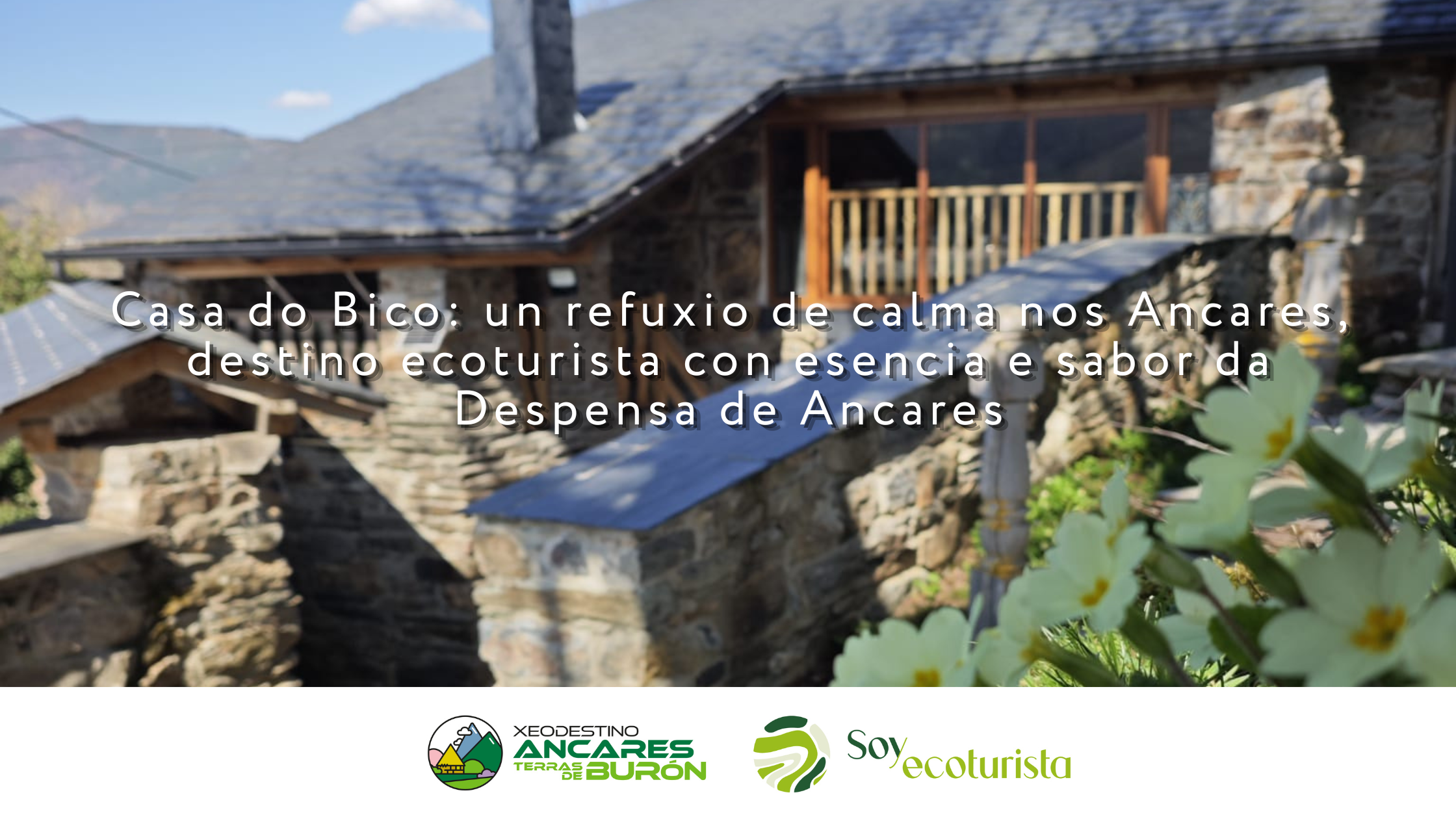 blog_xatb_casadobico (2)