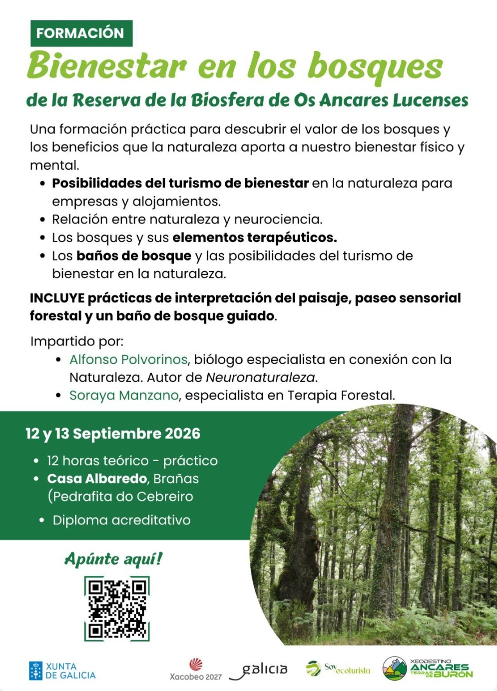 formación bosques ancares