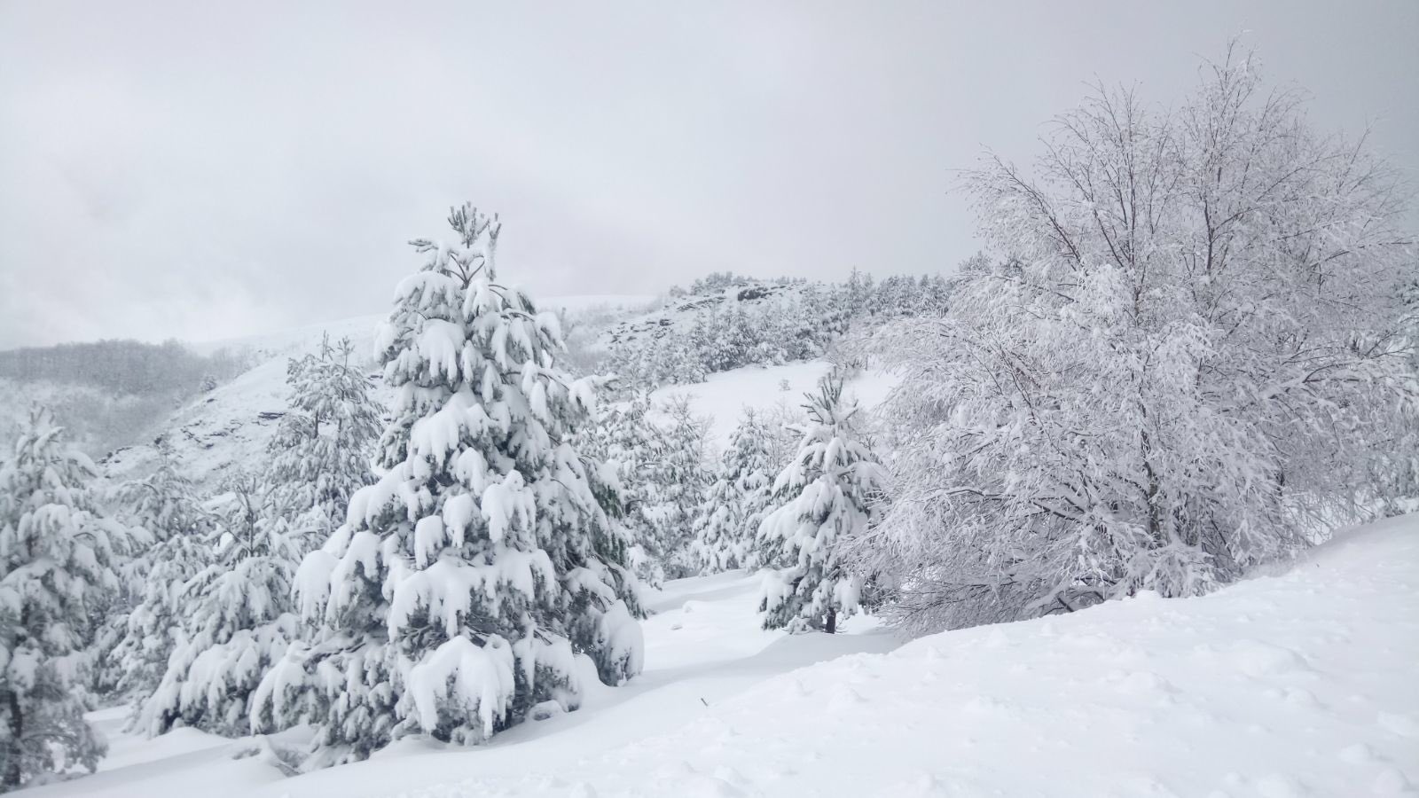 neve-ancares-turgalicia2