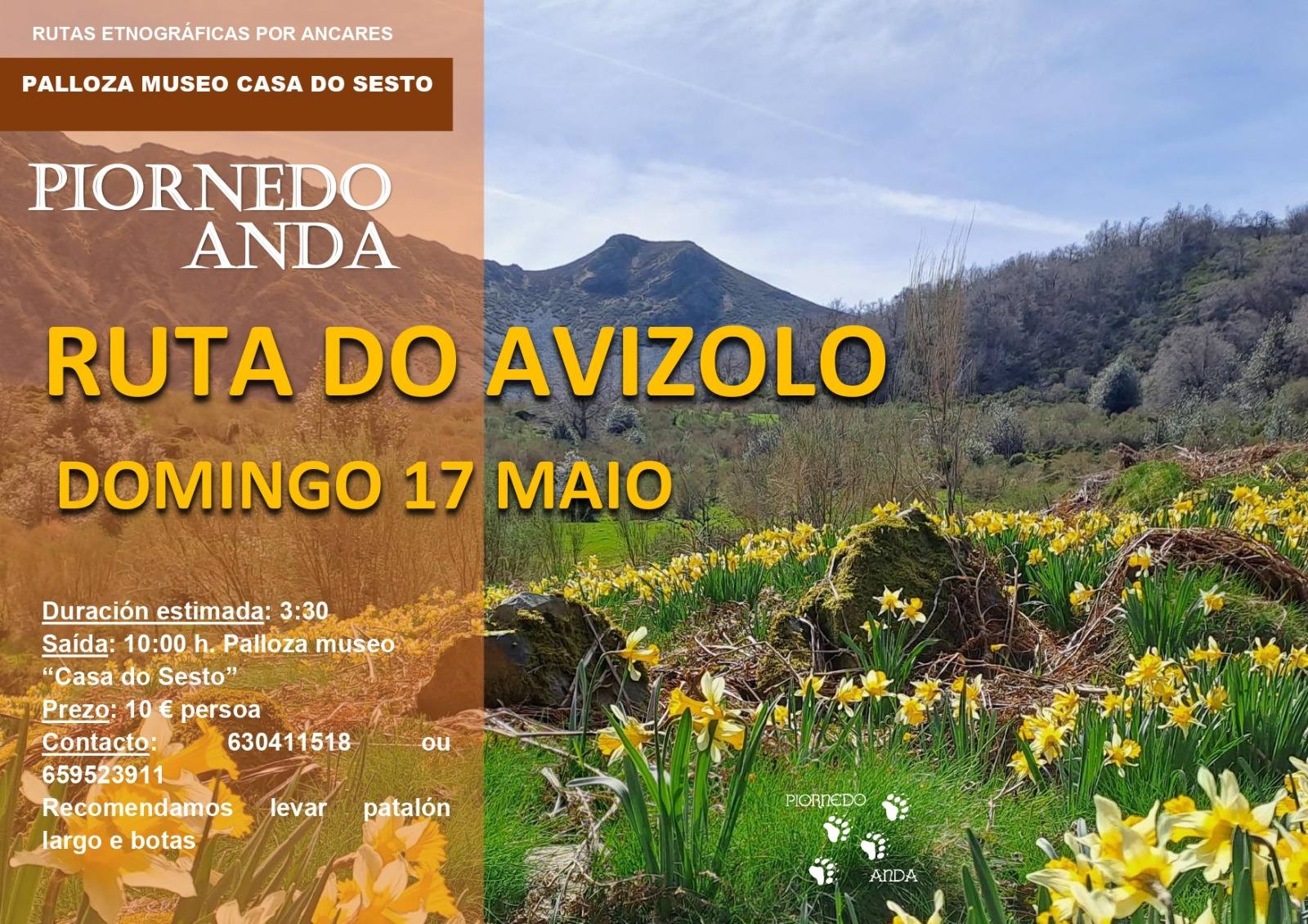 Ruta do Avizolo - Piornedo Anda